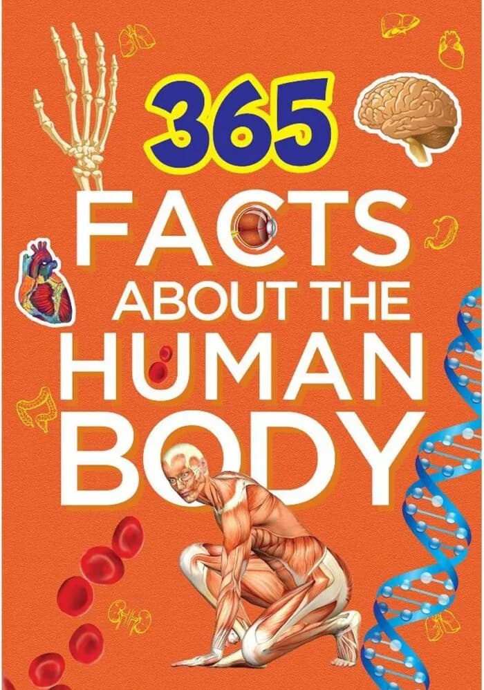 365 Facts About the Human Body