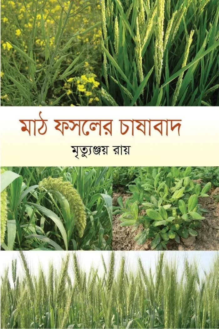 মাঠ ফসলের চাষাবাদ