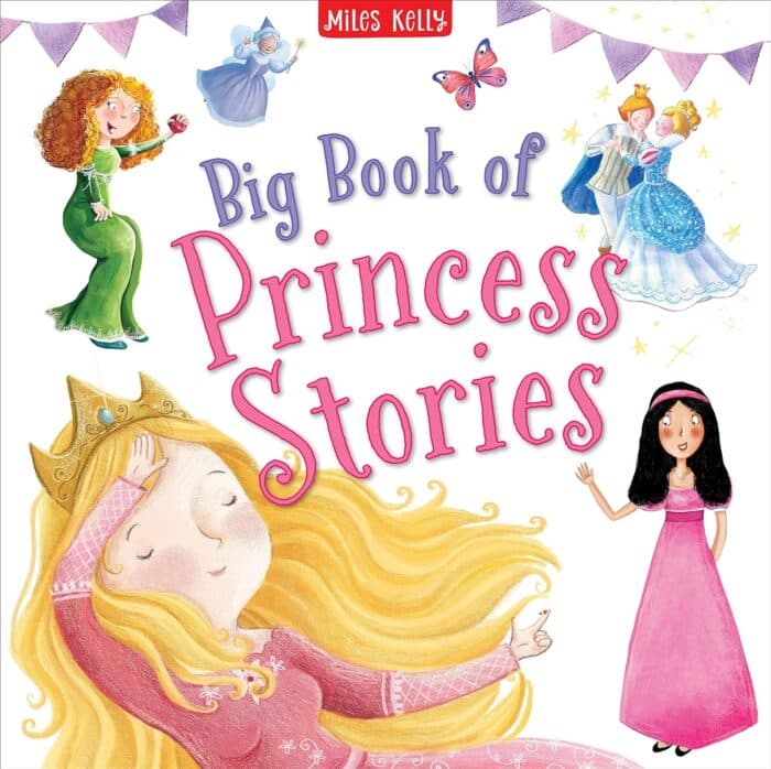 Princess Stories (Big Book Of)
