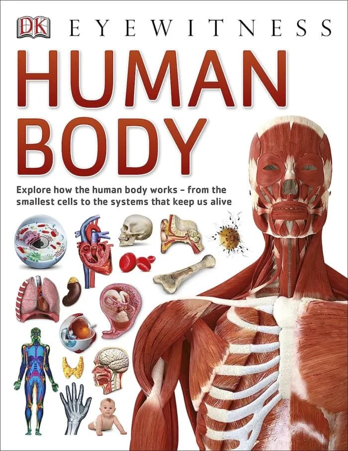 Human Body (DK Eyewitness) DK