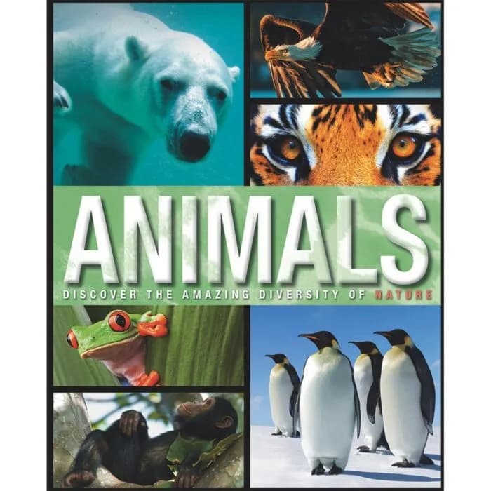 Amazing Fact Animals