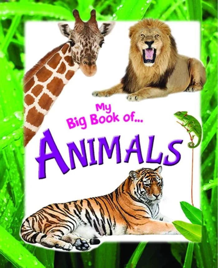 My Big Book of Animals
